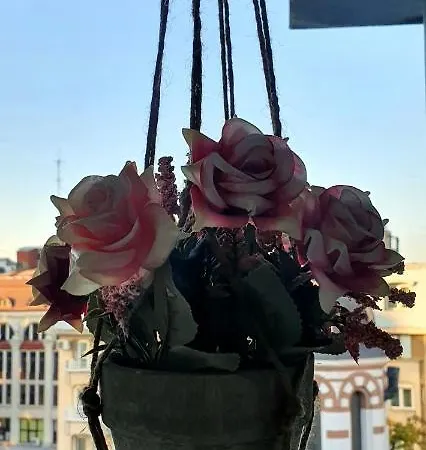 Apartament And Sleep Old Bukareszt