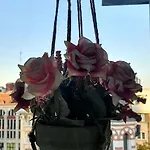 Apartment Old Town Luxe Retreat - Calea Victoriei Cec Bank Bucharest